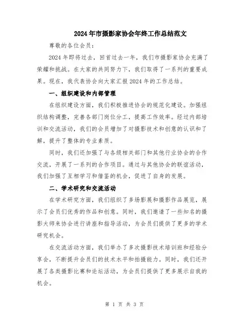 2024年市摄影家协会年终工作总结范文