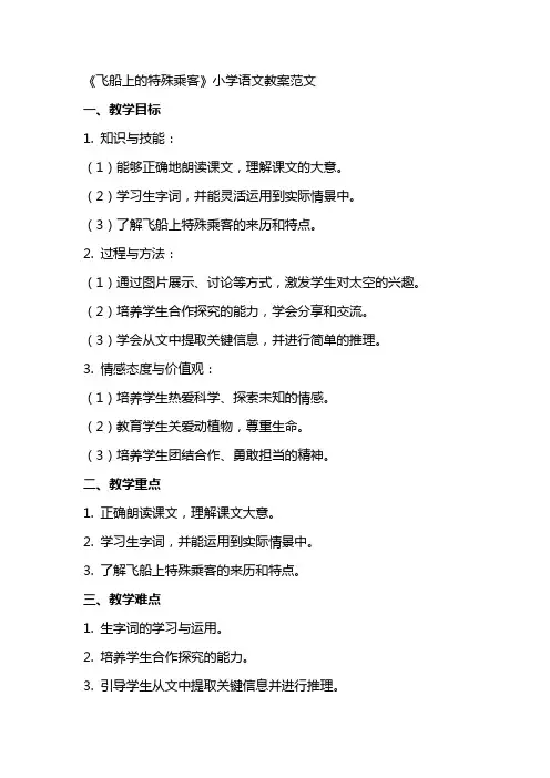 《飞船上的特殊乘客》小学语文教案范文