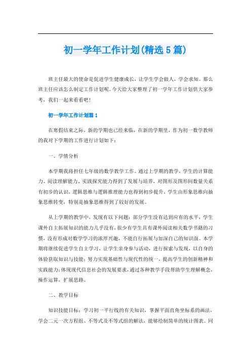 初一学年工作计划(精选5篇)