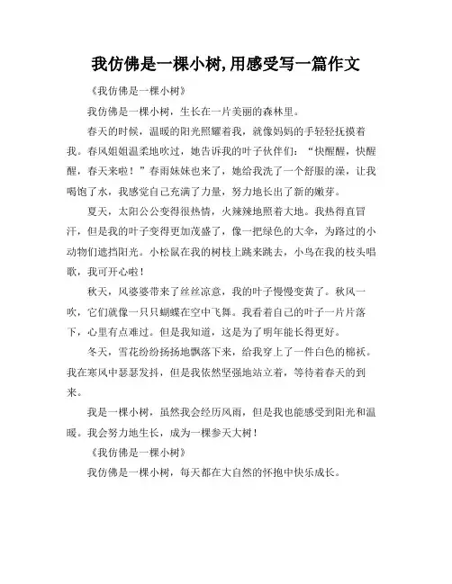 我仿佛是一棵小树,用感受写一篇作文