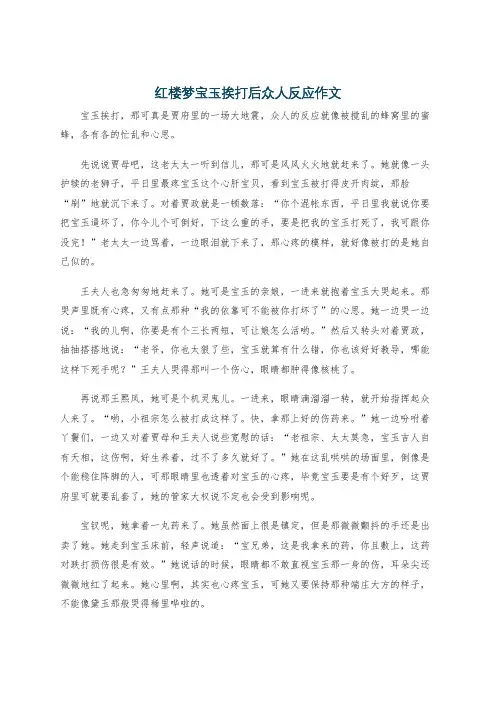 红楼梦宝玉挨打后众人反应作文