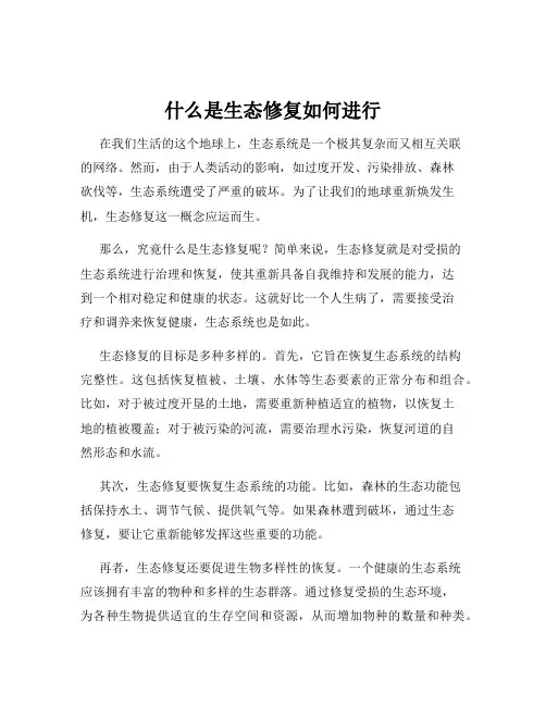 什么是生态修复如何进行