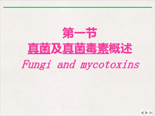 食品中的真菌毒素完整版PPT