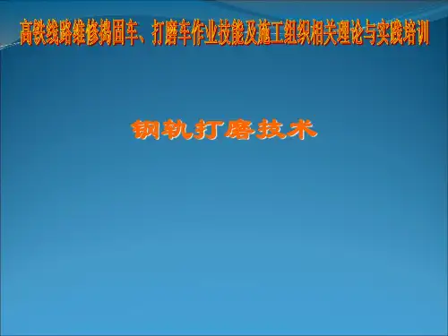 钢轨打磨技术