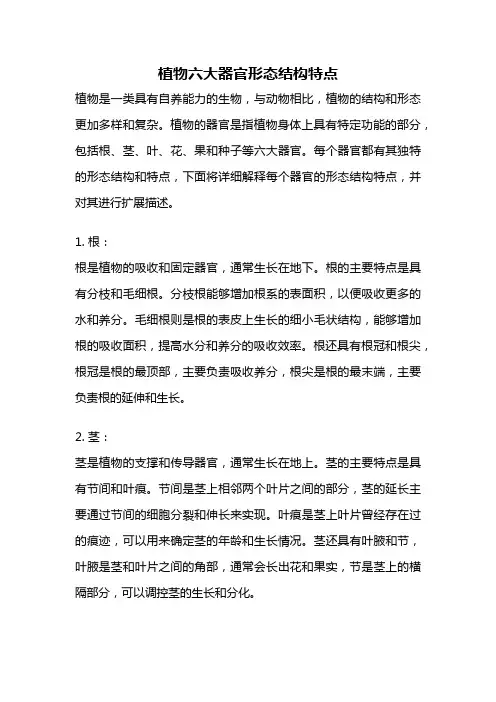 植物六大器官形态结构特点