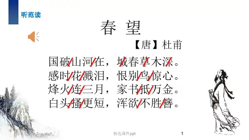 春望(完美版)ppt课件