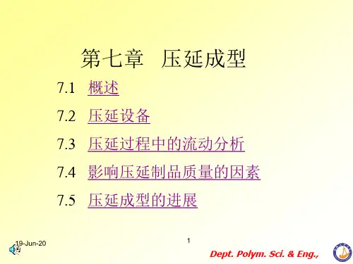聚合物成型加工原理07