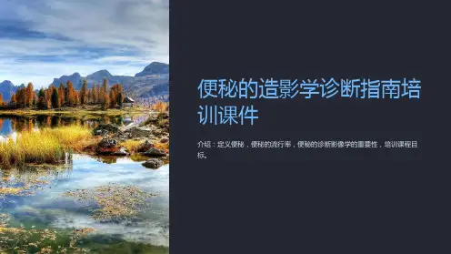 便秘的造影学诊断指南培训课件