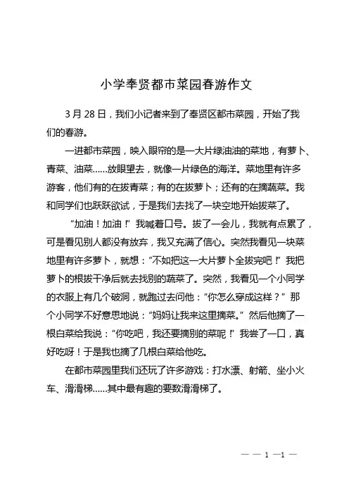 小学奉贤都市菜园春游作文