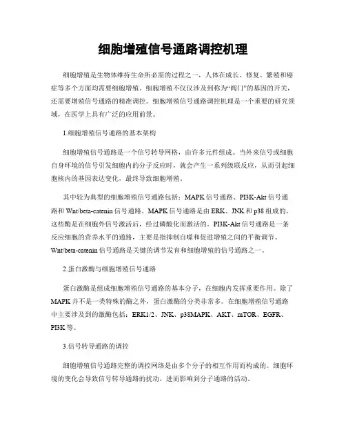 细胞增殖信号通路调控机理