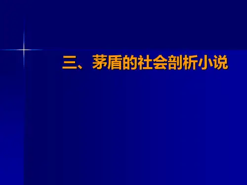 3社会剖析小说矛盾矛盾