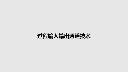 过程输入输出通道技术PPT教案