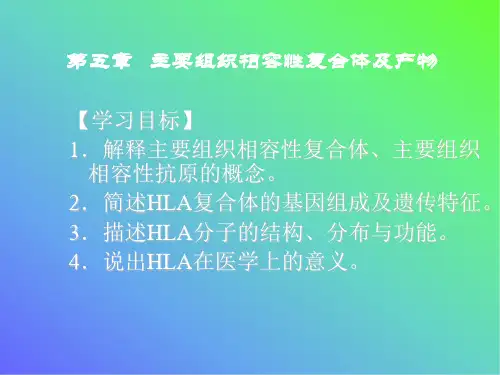 病原生物学和免疫学第五章  主要组织相容性复合体及产物