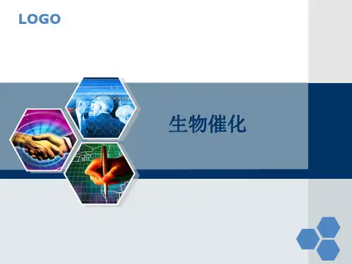 生物催化ppt