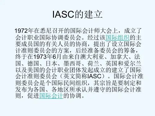 IAS简介(国际会计准则).ppt