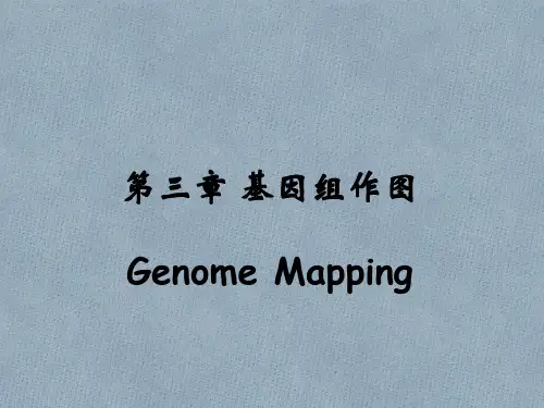 第三章基因组作图