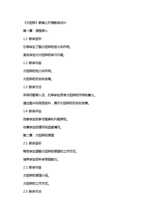 《太阳钟》教案公开课教学设计