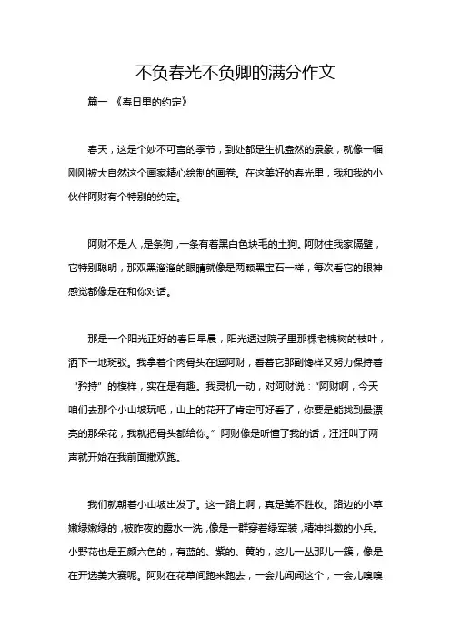 不负春光不负卿的满分作文