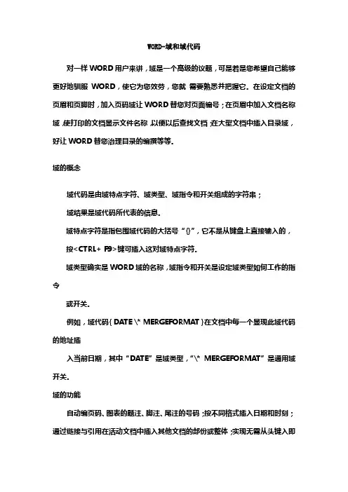 WORD域与域代码详解