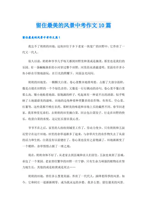 留住最美的风景中考作文10篇