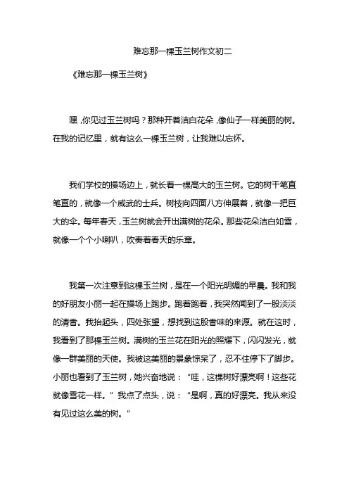 难忘那一棵玉兰树作文初二