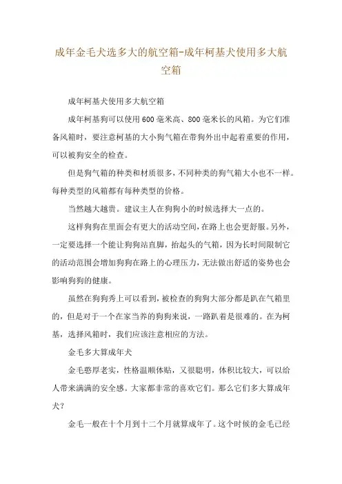 成年金毛犬选多大的航空箱-成年柯基犬使用多大航空箱
