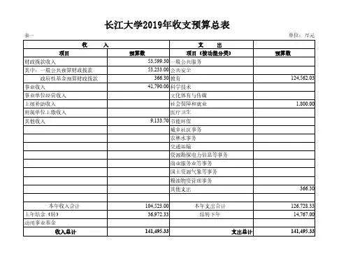 长江大学2019年收支预算总表