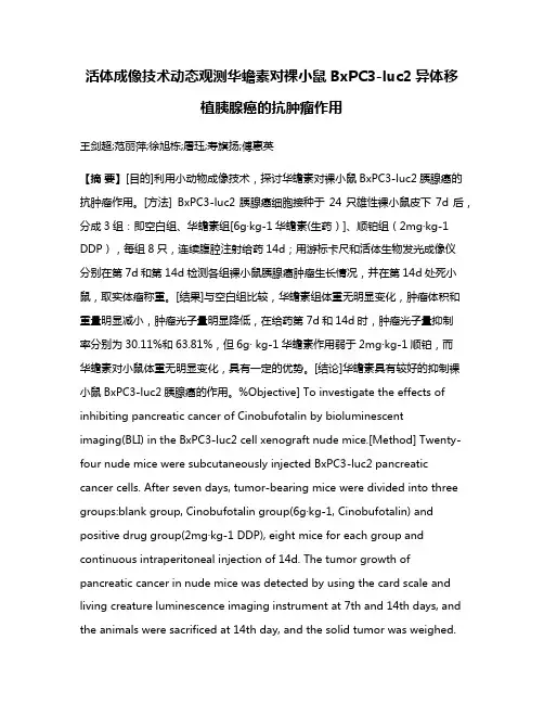 活体成像技术动态观测华蟾素对裸小鼠BxPC3-luc2异体移植胰腺癌的抗肿瘤作用