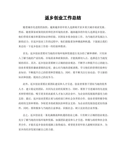 返乡创业工作总结