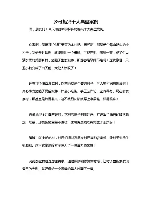 乡村振兴十大典型案例