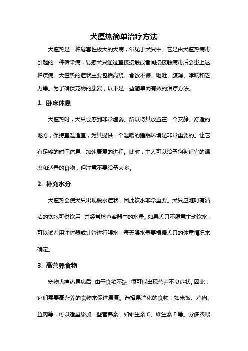 犬瘟热简单治疗方法