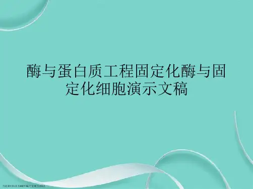 酶与蛋白质工程固定化酶与固定化细胞演示文稿