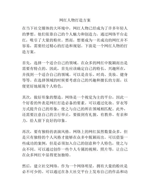 网红人物打造方案