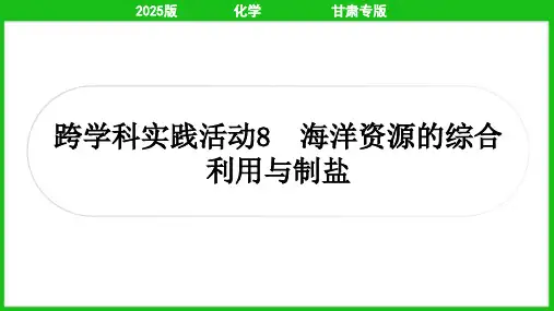 2025年中考化学总复习跨学科实践活动8 海洋资源的综合利用与制盐