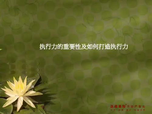 执行力的重要性及如何打造执行力