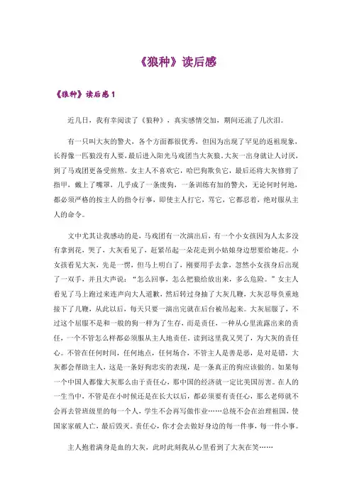 《狼种》读后感