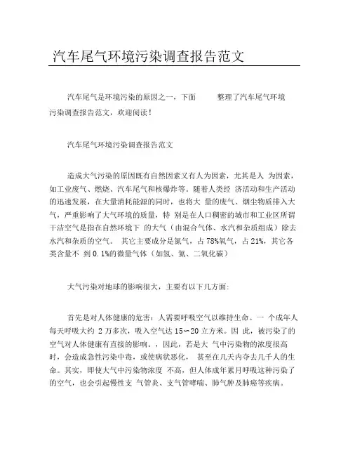 汽车尾气环境污染调查报告范文