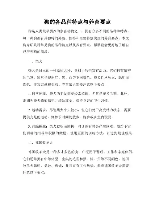 狗的各品种特点与养育要点