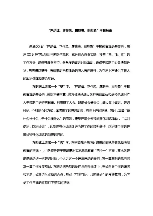 “严纪律、正作风、履职责、树形象”主题教育总结