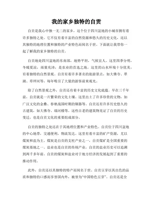 我的家乡独特的自贡