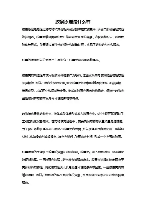 胶囊原理是什么样
