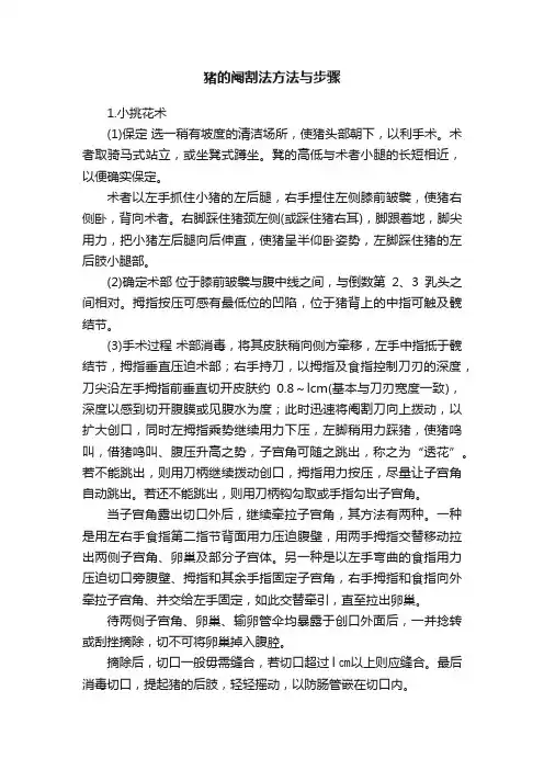 猪的阉割法方法与步骤
