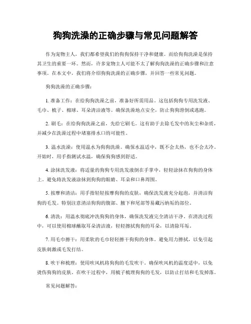 狗狗洗澡的正确步骤与常见问题解答