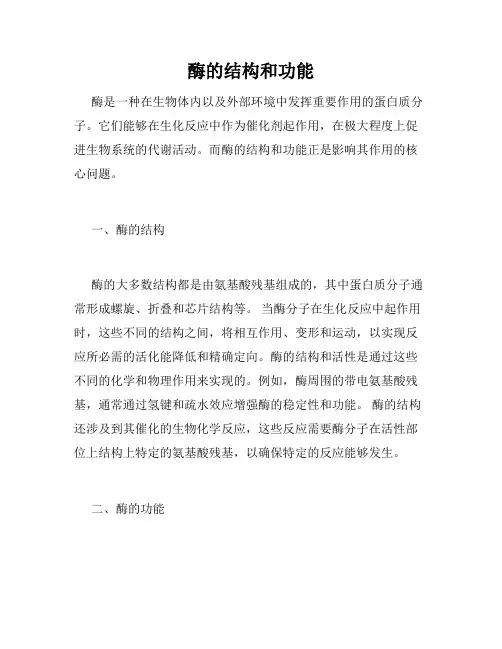 酶的结构和功能