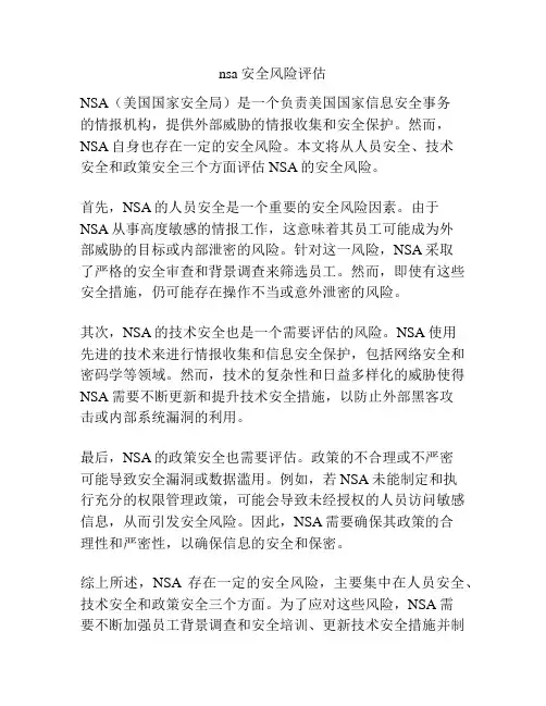 nsa安全风险评估