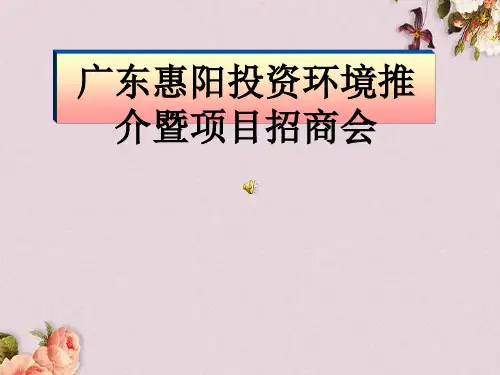 广东某项目招商方案(ppt 22页)