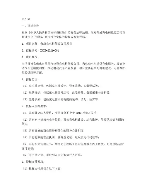 荣成充电桩能源公司招标(3篇)
