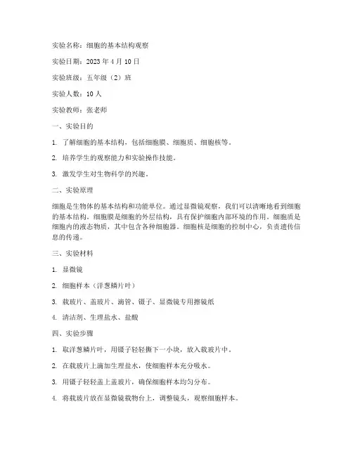 小学科学细胞实验报告单
