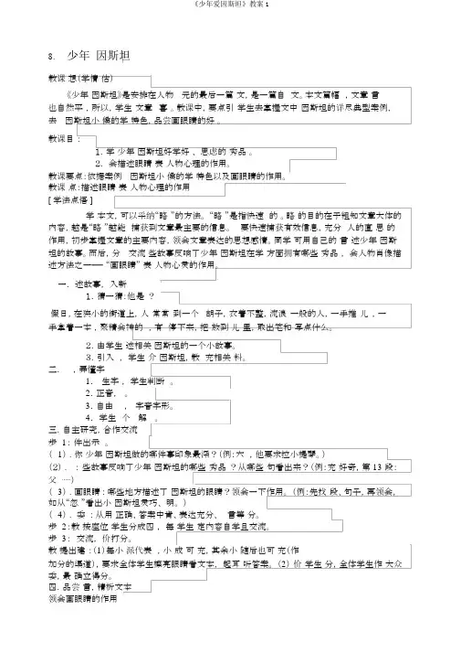 《少年爱因斯坦》教案1