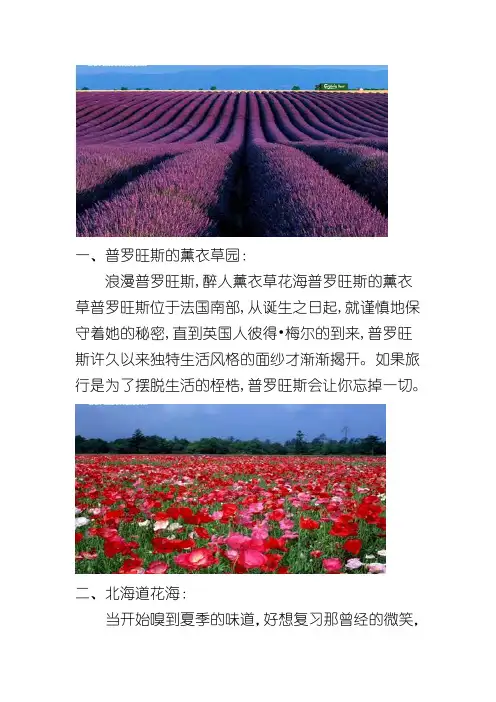 世界的花海10大排名
